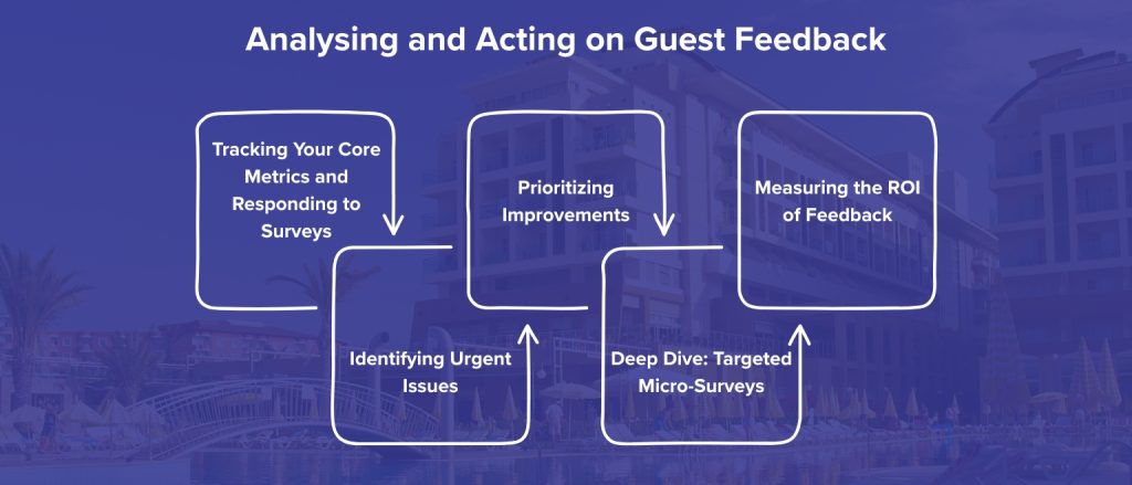guest satisfaction survey