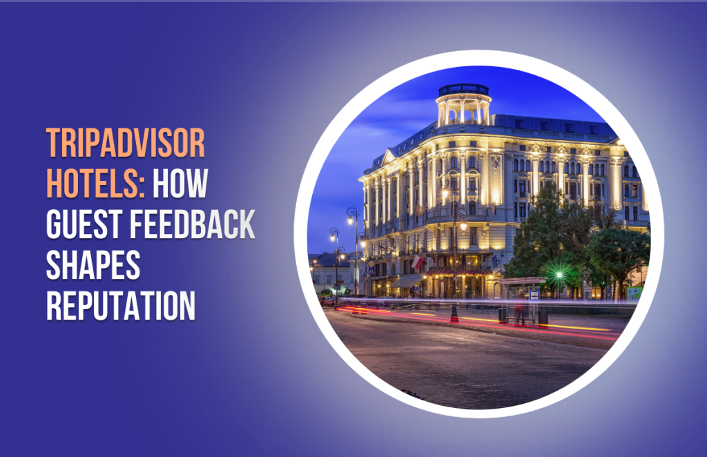 TripAdvisor Hotels_ How Guest Feedback Shapes Reputation